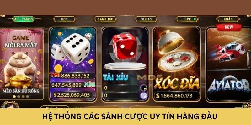 Hệ thống các sảnh cược uy tín hàng đầu